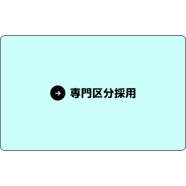 専門区分採用